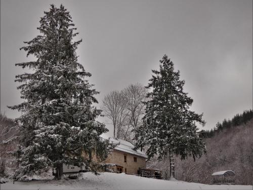 Chez-Judith gîte à louer Forêt d'Andronne