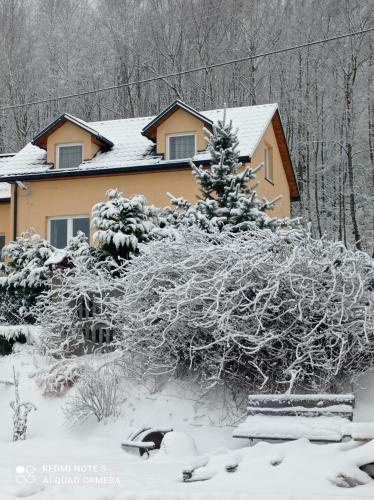 Domek na skraju lasu in Tarczek