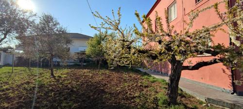 AnimAbruzzo, Cepagatti (photo 10)