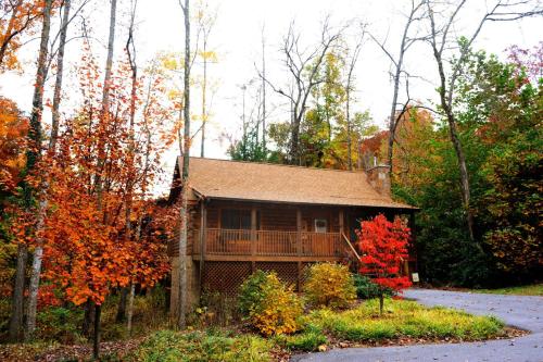 ER259- Country Charm Great Location Close to town cabin - main image