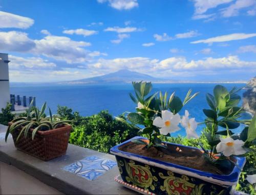 Deluxe Double Room with Sea View