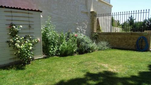 Dārzs, Lou pinsan in Camaret-Sur-Aigues