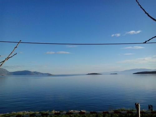 Niriides, Galaxidhion (foto 8)