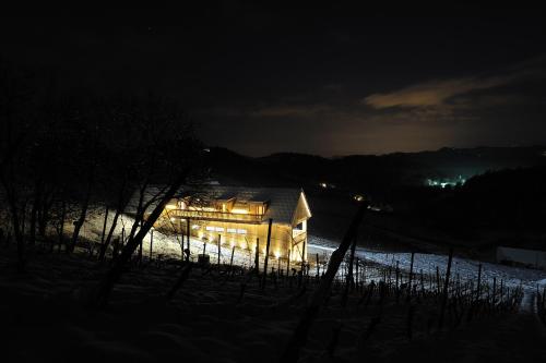 Wine & Tourisam Valdhuber Apartments - image 7