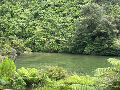 Waterfall Bay in Te Mahia