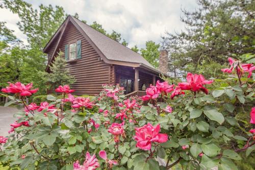 ER104 - R Tribe's Treehouse - Great location - Close to town! cabin, Pigeon Forge (zdjęcie 9)