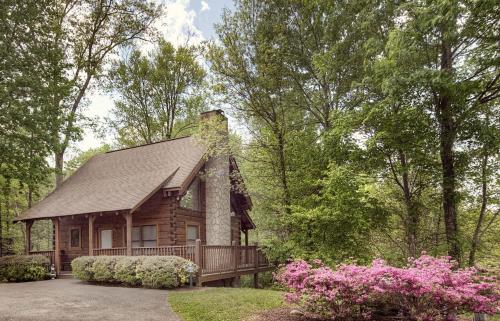 ER83 - Savage Loft - Your Close to the Action Cabin Getaway cabin - image 3