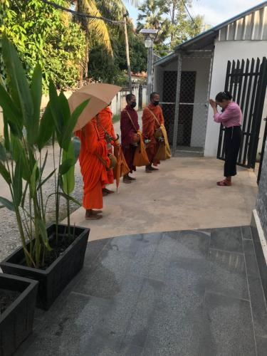 Siem Reap Homesteading