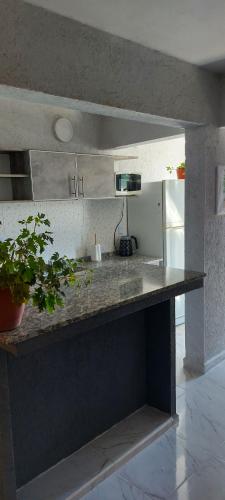 Two-Bedroom Apartment image 10