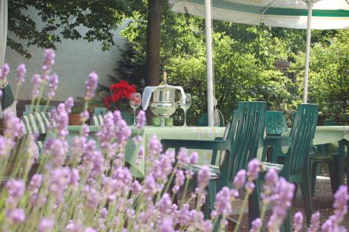 Hotel Leander - image 4