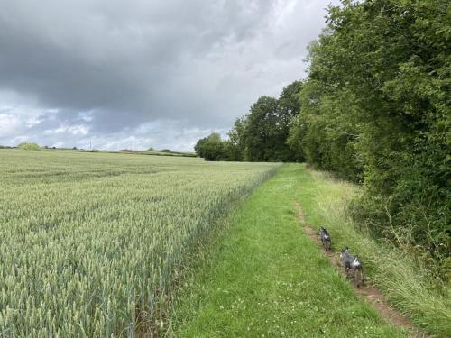 Coach House - detached cottage within 135 acres