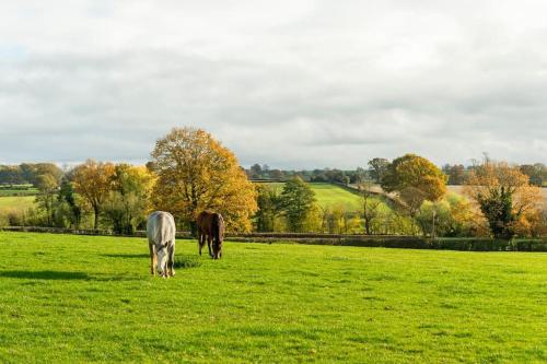 Coach House - detached cottage within 135 acres