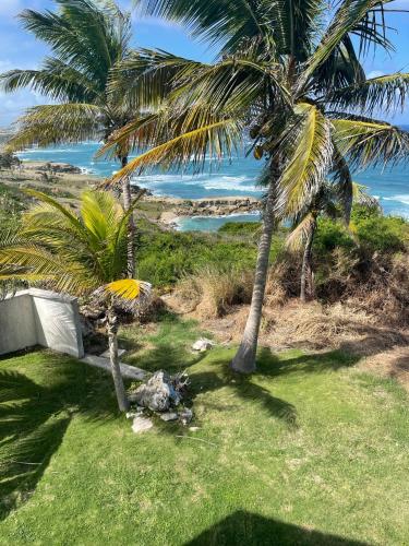 Omgivelser, 'GRAND RIVEIRE' Private Room with Ocean View in Coles Pasture