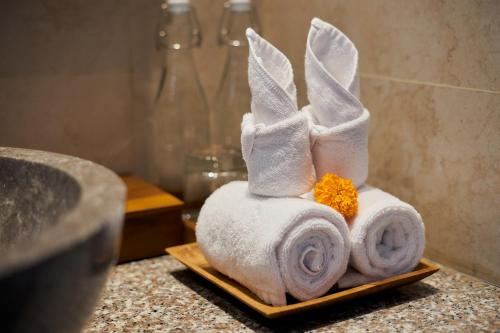 Gynandha Ubud Cottage