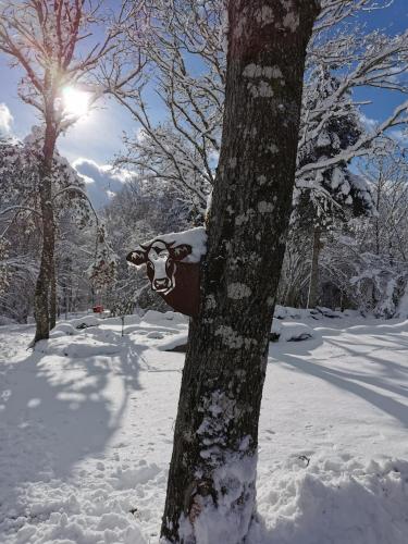 Auvergne chalets Sancy