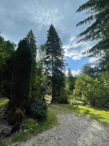 Esigman - log cabin in Transylvania, Filia (photo 7)