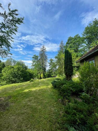 Esigman - log cabin in Transylvania, Filia (photo 8)