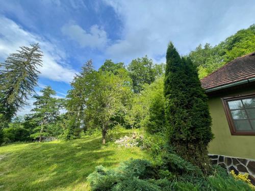 Esigman - log cabin in Transylvania, Filia (photo 5)