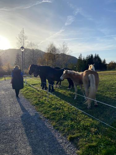 FeWo Sonnenschein FeWo Sonnenschein