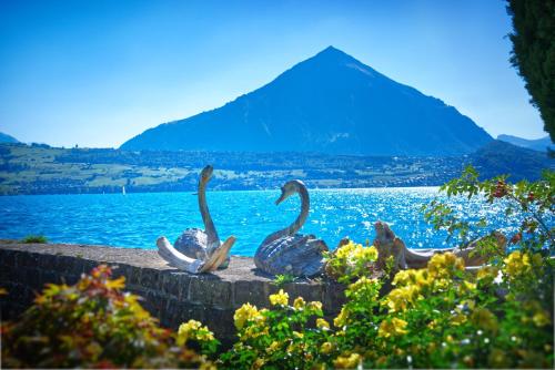 421868063 BEATUS Wellness- & Spa-Hotel