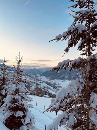 Nearby attraction, Haus an der Planai (Pistenzugang & Panoramablick) in Fastenberg