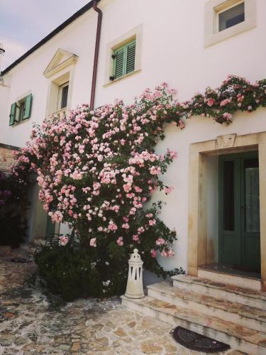 Exterior view, B&B Giovannarolla Green House in Ostuni