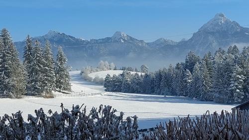 Surrounding environment, Haus Guggemos in Hopferau