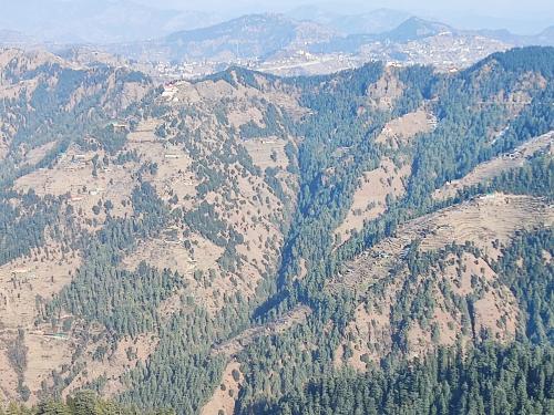 Fortune Park Kufri, Shimla - Member ITC's Hotel Group