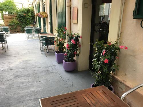 Hostellerie De La Source - image 14