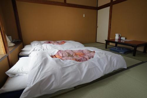 Ryokan Katsutaro Tokyo