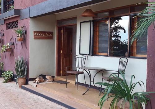 HomeOnTheNile in Jinja