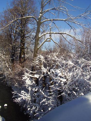 Privát Erika - image 6