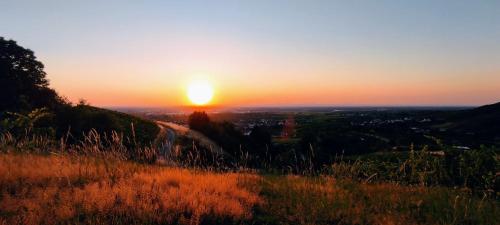 romantisches Winzerhäuschen