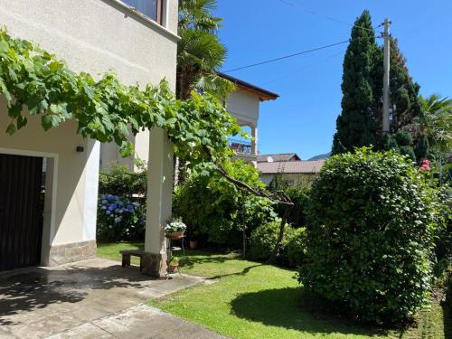 Verdelago, Cannobio (photo 7)