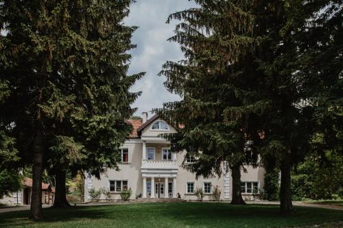 Villa with Garden View