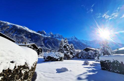 Chamonix Appartement Vue Mont Blanc avec Jardin