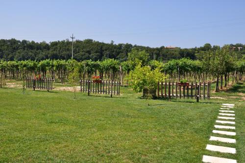 Agriturismo ai Ciliegi - image 5