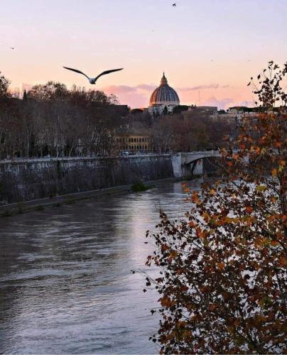 La Casa di Ludovica all'Appio Latino, Roma (foto 4)