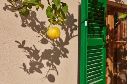 Finca Son Oliver by Mallorca House Rent