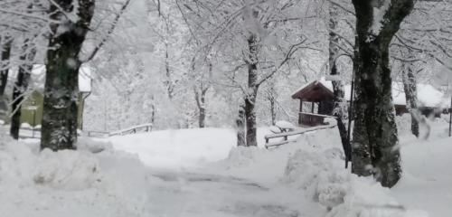 Villaggio Anemone - Chalet Mirtillo