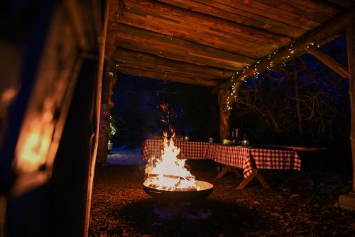 Sleep Space 23 - Green Tiny Village Harz, Osterode (foto 8)