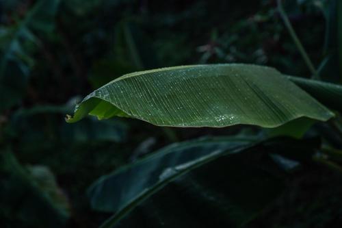 Samana Ecolodge Samana Ecolodge