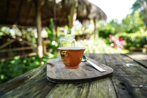 Samana Ecolodge Samana Ecolodge