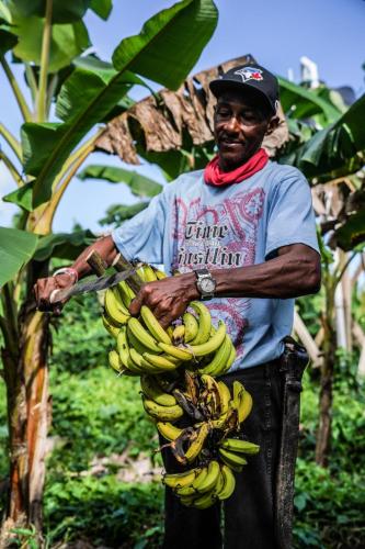 Samana Ecolodge Samana Ecolodge