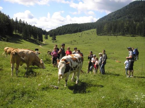 Ferienwohnungen Baumann-Breitenberg