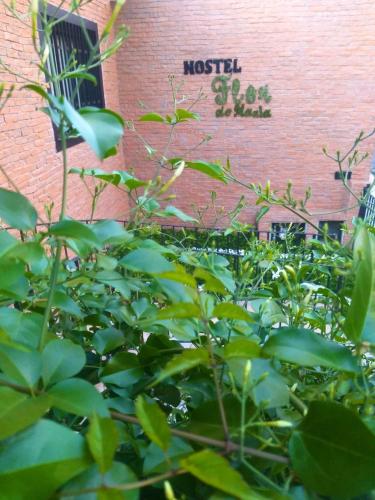 Hostel Flor de Maria – Sao Paulo, ME