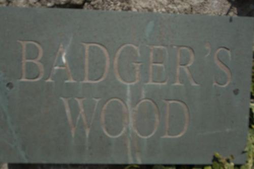 Badgers Wood