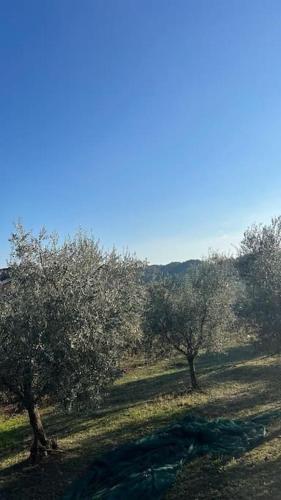 Casa nel verde a Monterotondo