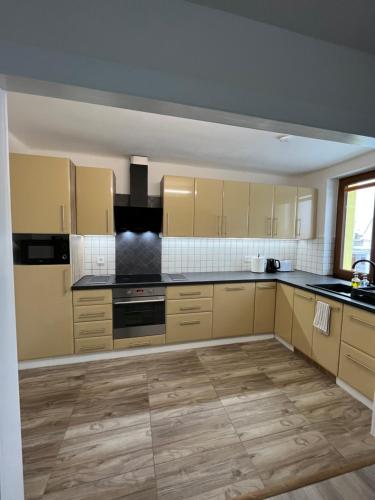 Konyha, Apartment Golden Prague 78 in Vestec U Prahy