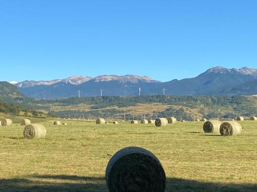 Cabaña Pampa Pinuer Coyhaique